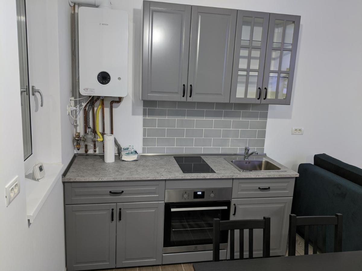 Alina'S Deluxe Apartment And Free Private Parking Dumbravita  Exterior photo