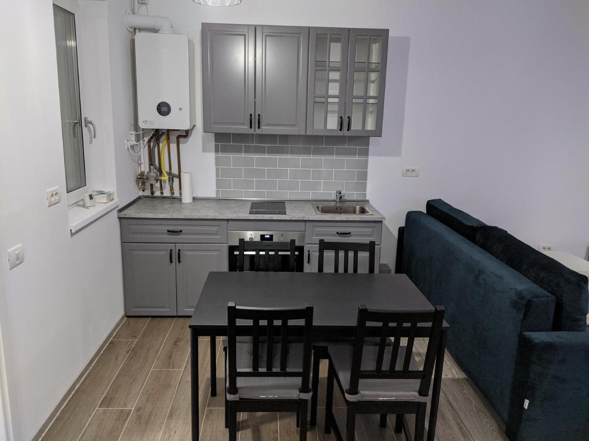 Alina'S Deluxe Apartment And Free Private Parking Dumbravita  Exterior photo