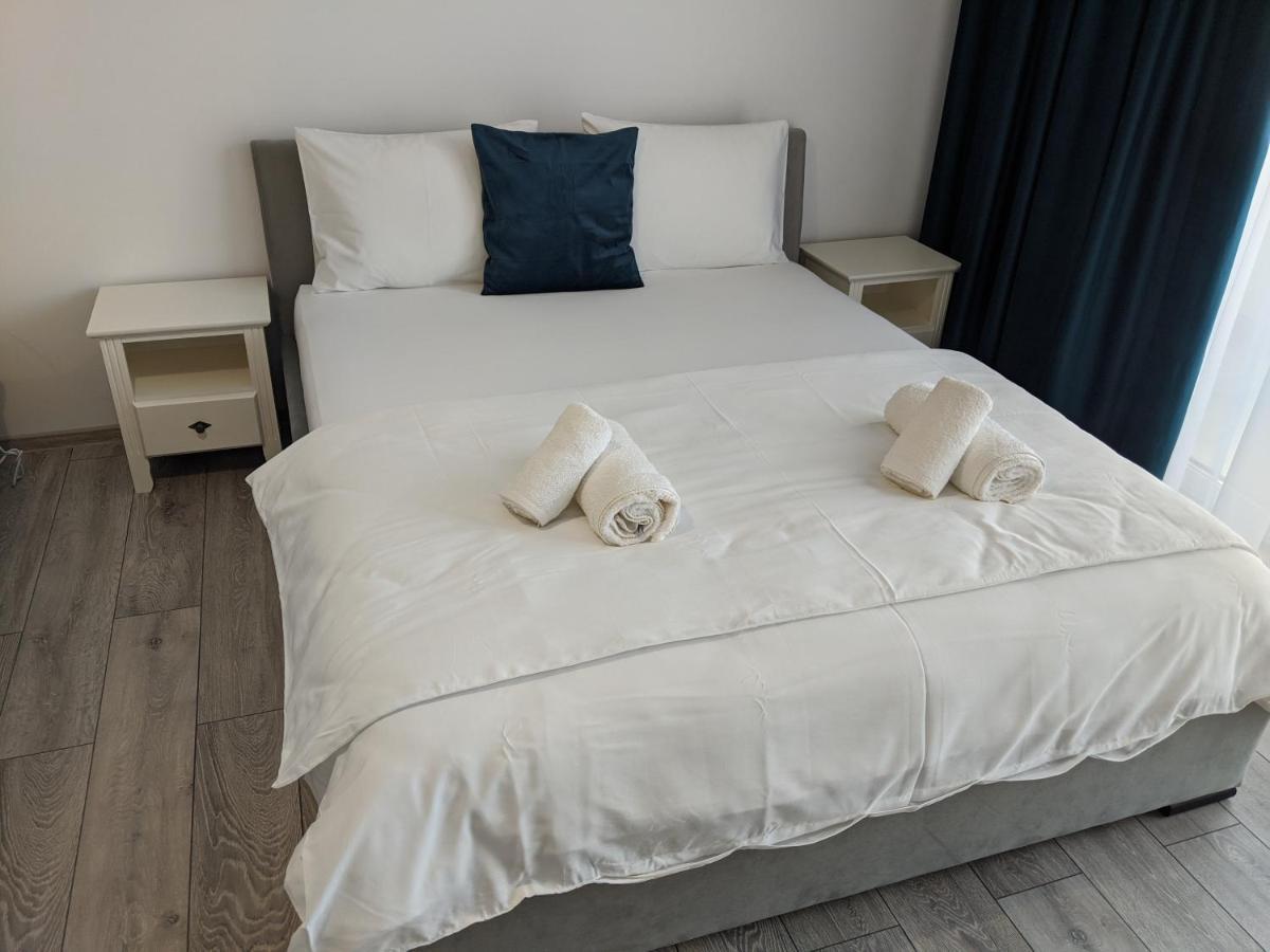 Alina'S Deluxe Apartment And Free Private Parking Dumbravita  Exterior photo